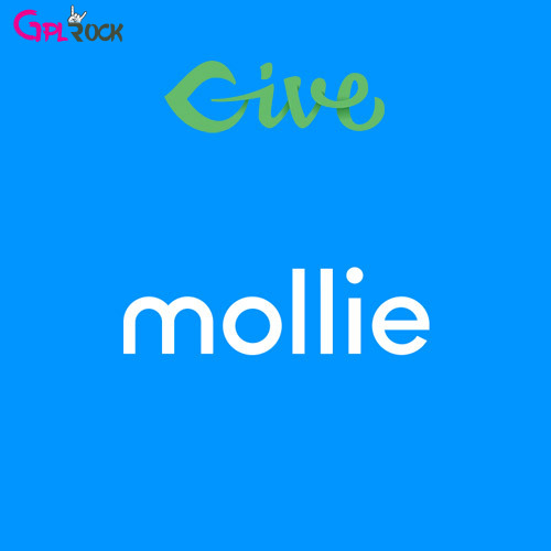 Give โ Mollie Payment Gateway